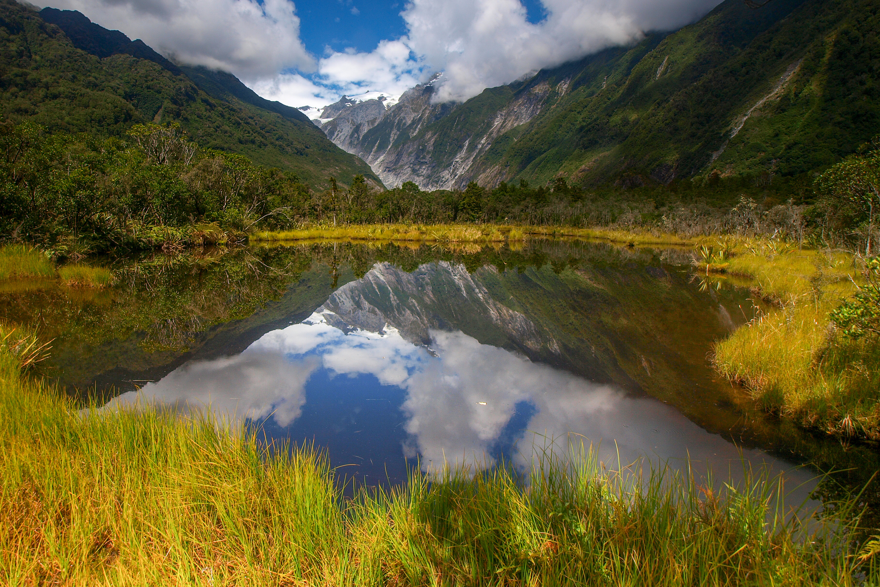 Instituto LIFE participa de evento da IBNB durante COP 11