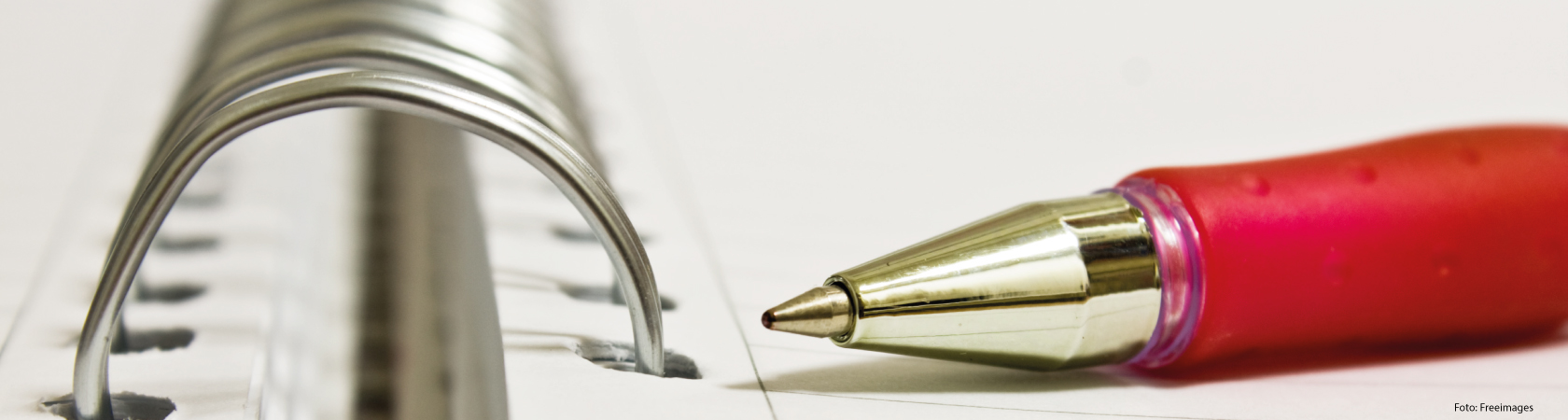 Desmatamento Zero – Documento de Referência para Avaliação de Fornecedores de empresas certificadas