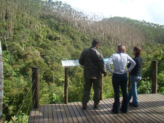 Application of the LIFE Methodology at Suzano Company