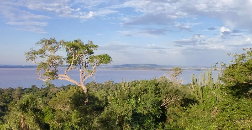 LIFE Institute in Paraguay