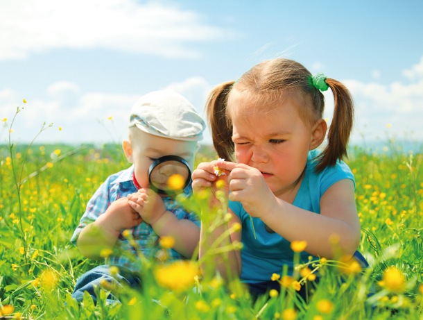 Consulta Pública é aberta para contribuições