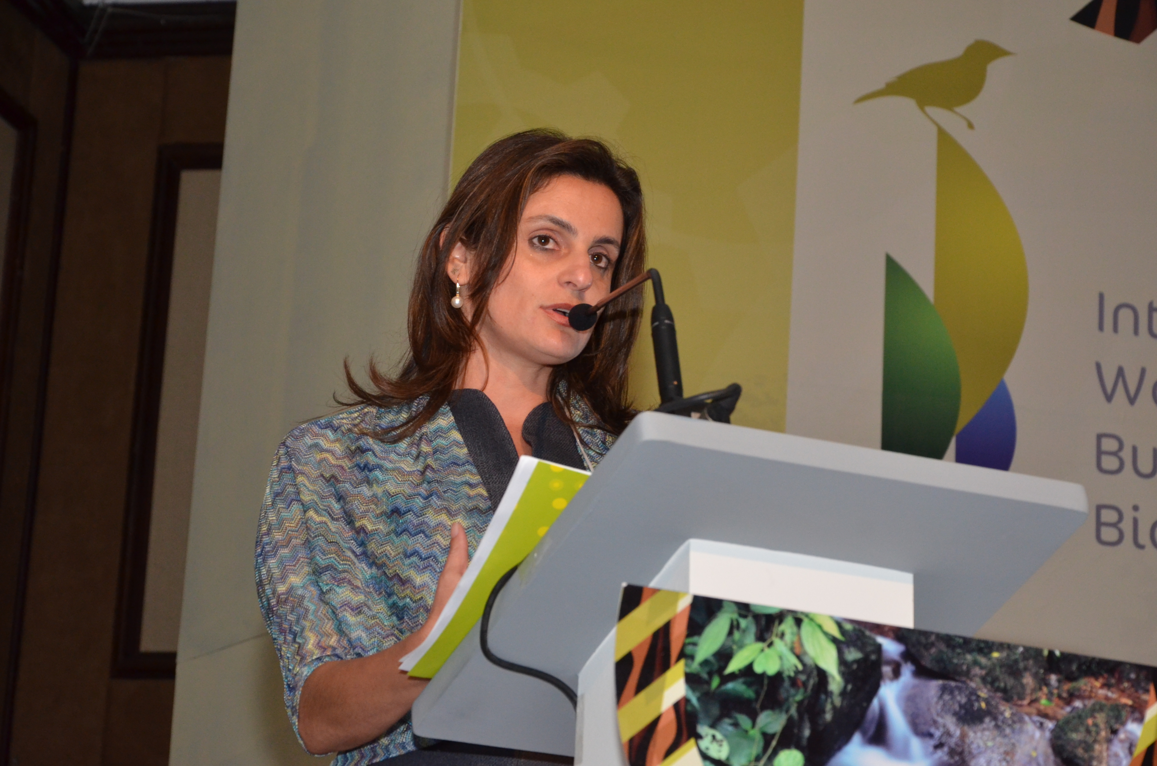 Lançada a Iniciativa Brasileira de Negócios e Biodiversidade