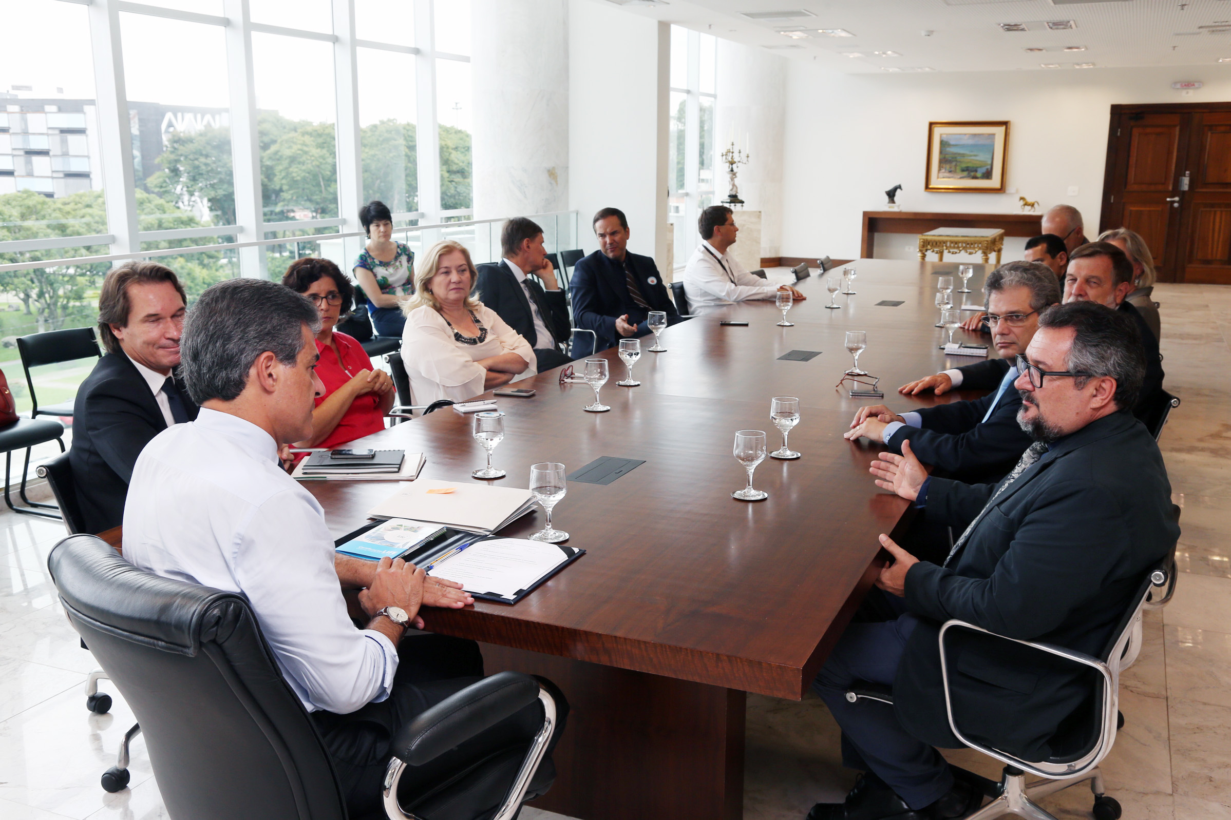 Instituto LIFE é recebido pelo Governador do Estado do Paraná Beto Richa