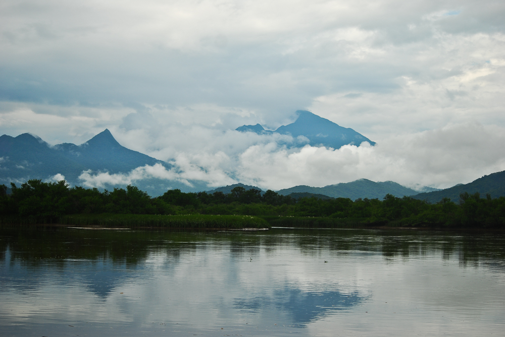 Diretora Executiva do LIFE participa da 5ª reunião de especialistas do GDI