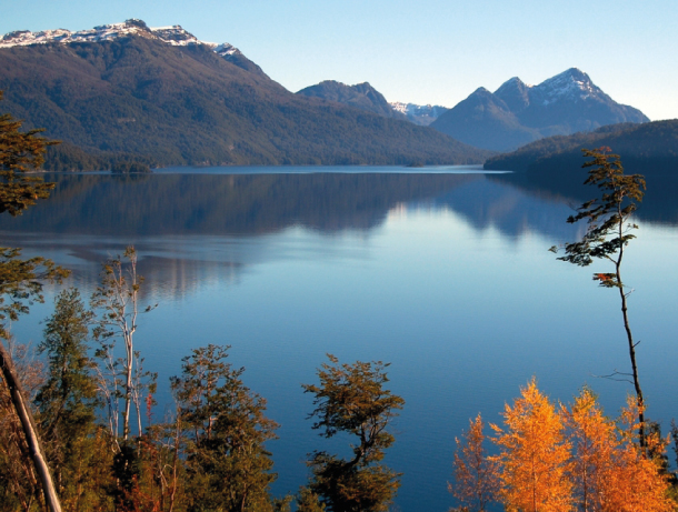 Conferência To No Net Loss of Biodiversity and Beyond