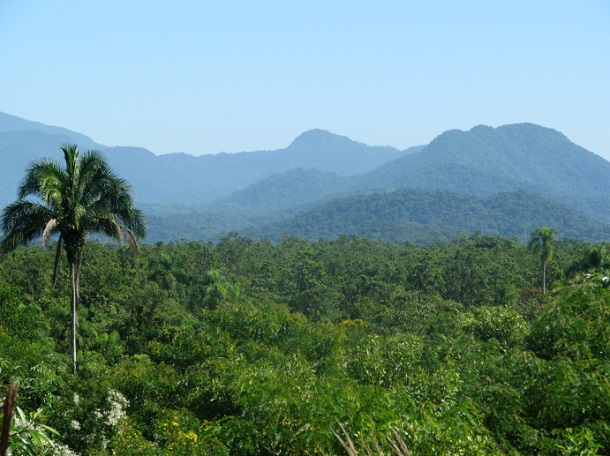 ABN-Amro apresenta Projeto de Conservação da Biodiversidade no âmbito da Metodologia LIFE