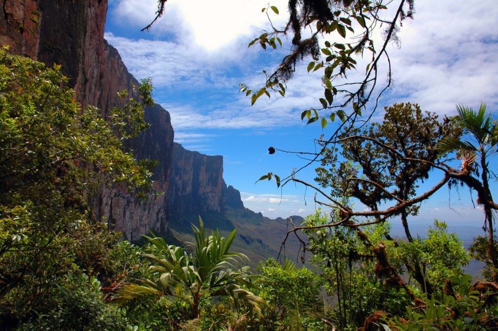 Certificação LIFE foi retratada em matéria na última Revista de Negócios e Biodiversidade da CDB.