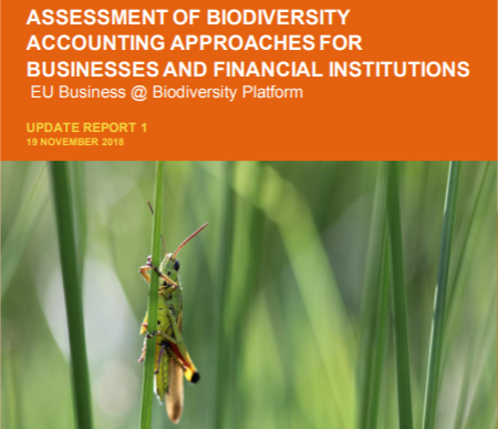 LIFE Methodology is mentioned in report that evaluated initiatives on biodiversity approaches for businesses and financial institutions