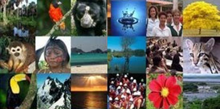 LIFE endorses the Jena Declaration